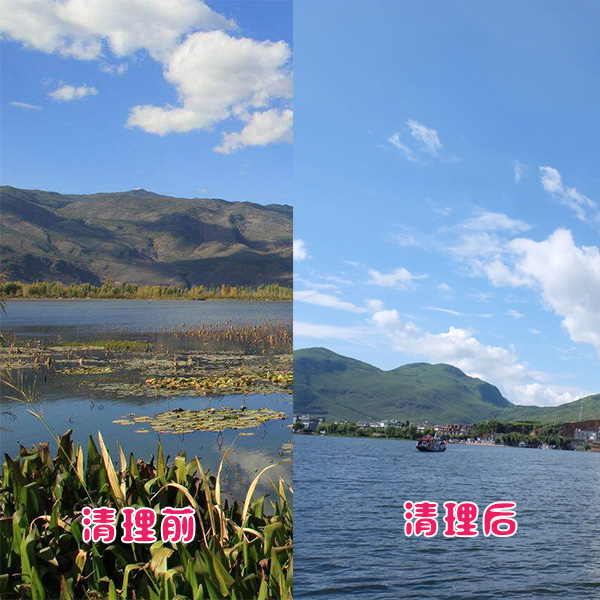 洱?？蛻艉此萸謇硇Ч故? title=