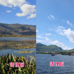 洱?？蛻艉此萸謇硇Ч故?></div>
														<div   id=