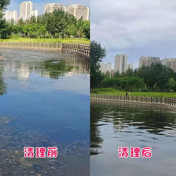 遼陽(yáng)市客戶(hù)太子河水草清理效果展示